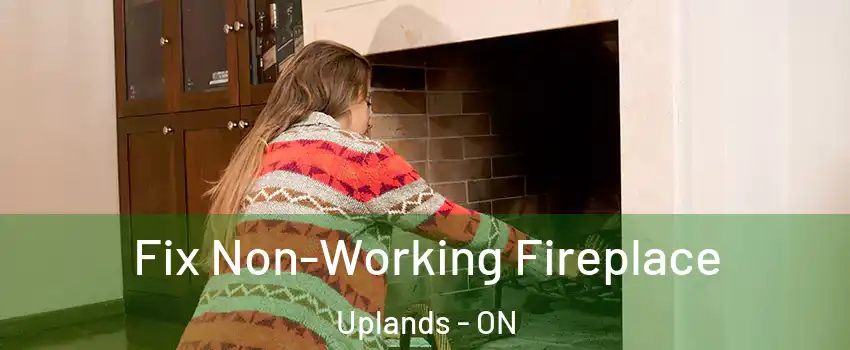  Fix Non-Working Fireplace Uplands - ON