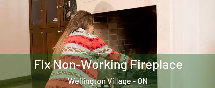  Fix Non-Working Fireplace Wellington Village - ON