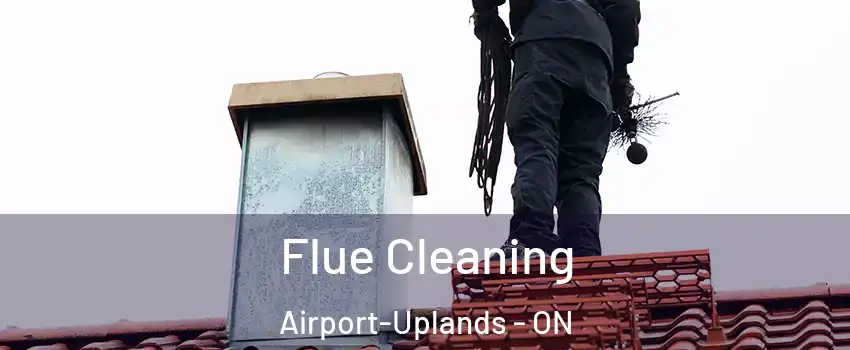  Flue Cleaning Airport-Uplands - ON