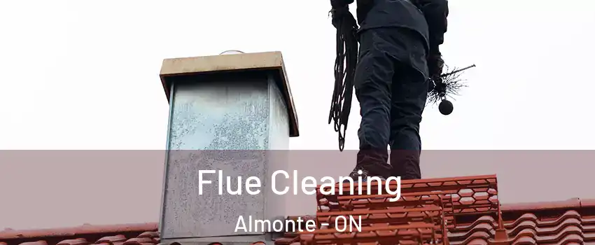  Flue Cleaning Almonte - ON