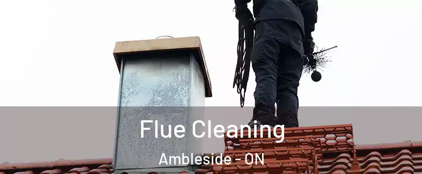  Flue Cleaning Ambleside - ON