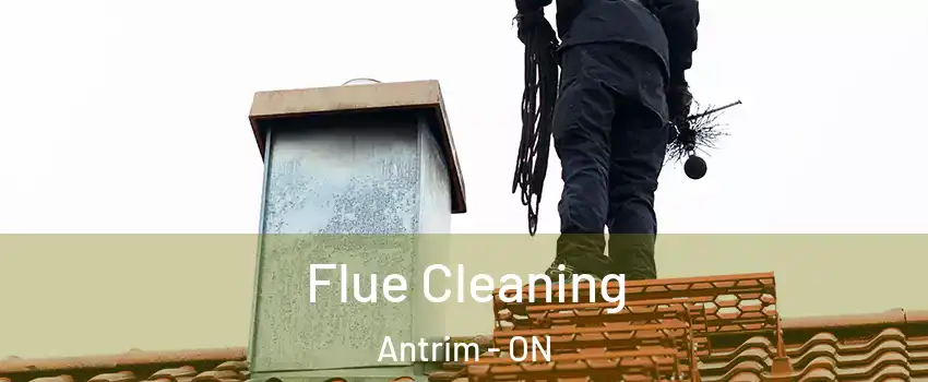  Flue Cleaning Antrim - ON