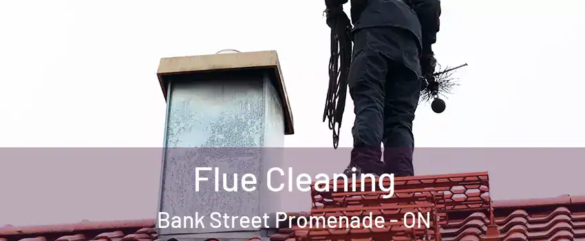  Flue Cleaning Bank Street Promenade - ON