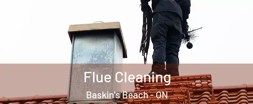  Flue Cleaning Baskin's Beach - ON