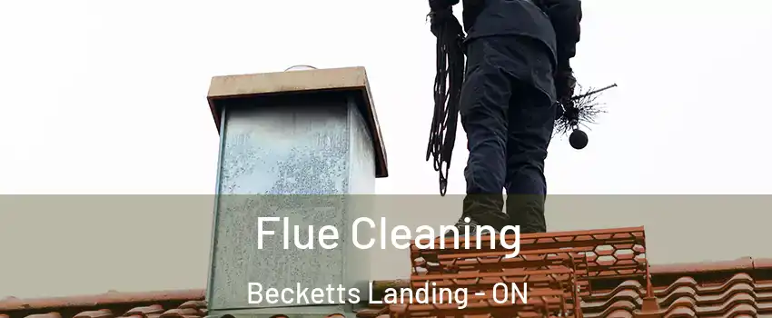  Flue Cleaning Becketts Landing - ON