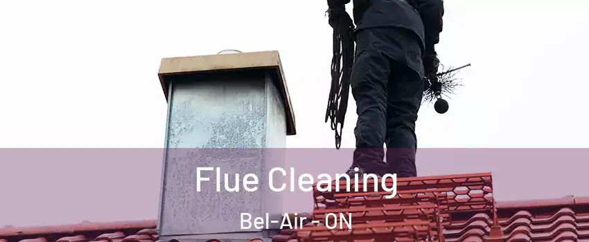  Flue Cleaning Bel-Air - ON