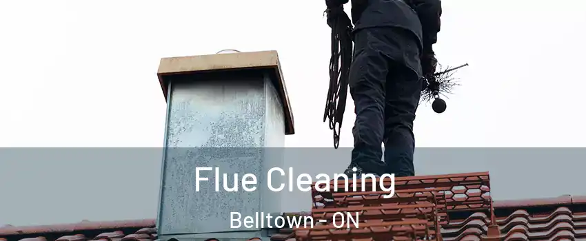  Flue Cleaning Belltown - ON