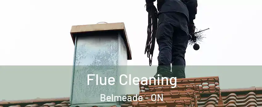  Flue Cleaning Belmeade - ON