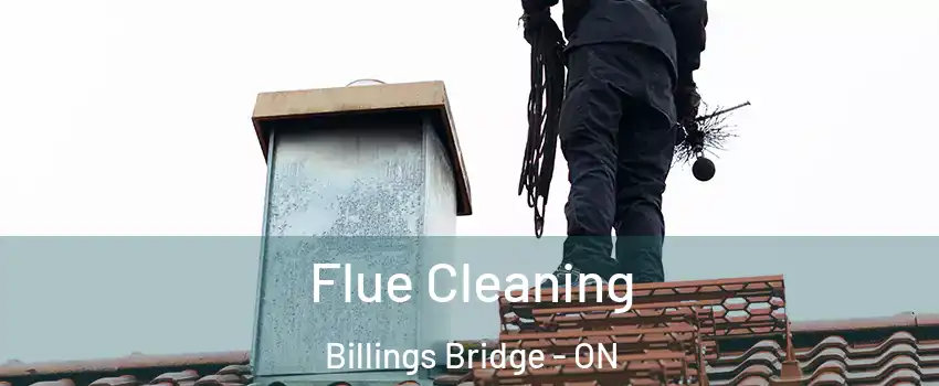  Flue Cleaning Billings Bridge - ON