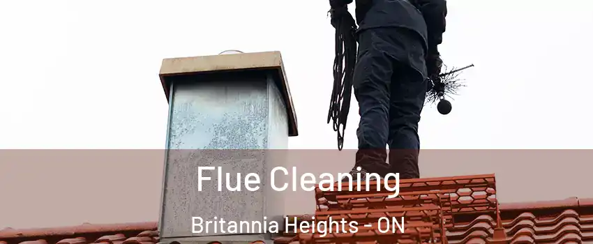  Flue Cleaning Britannia Heights - ON