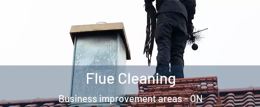  Flue Cleaning Business improvement areas - ON