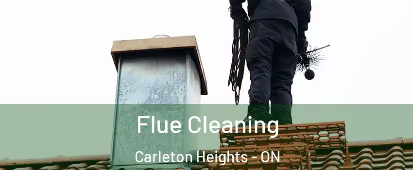  Flue Cleaning Carleton Heights - ON