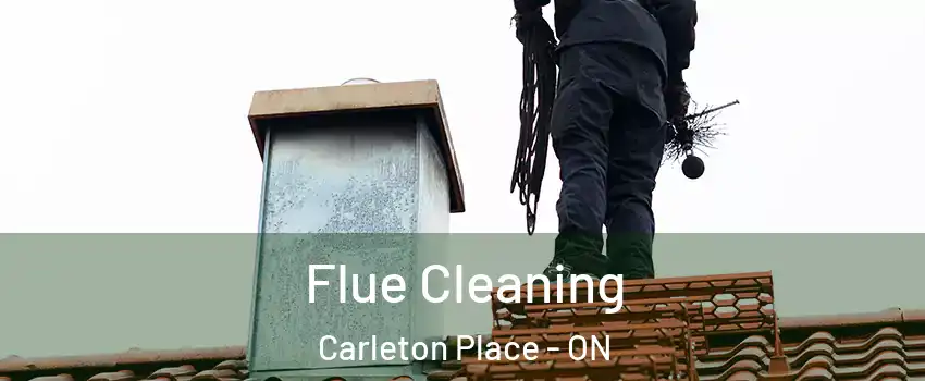  Flue Cleaning Carleton Place - ON