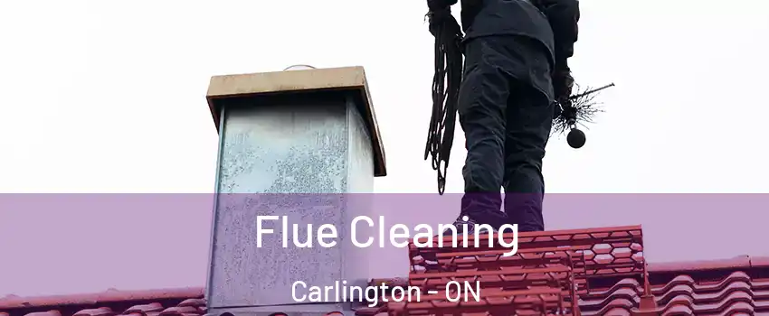  Flue Cleaning Carlington - ON