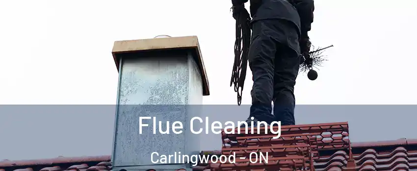  Flue Cleaning Carlingwood - ON