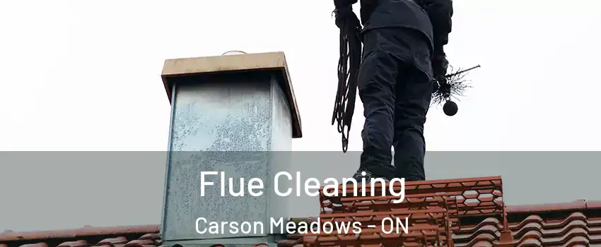  Flue Cleaning Carson Meadows - ON