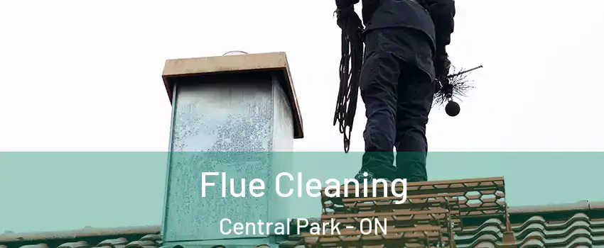  Flue Cleaning Central Park - ON