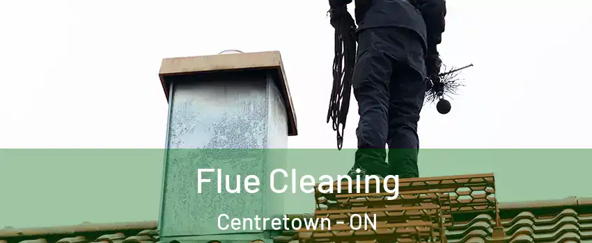  Flue Cleaning Centretown - ON