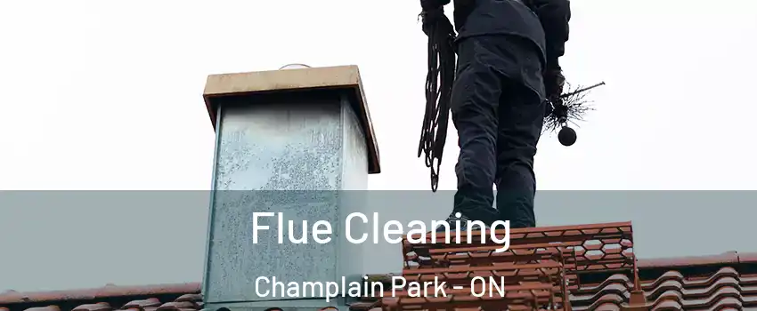  Flue Cleaning Champlain Park - ON