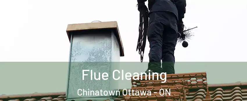  Flue Cleaning Chinatown Ottawa - ON