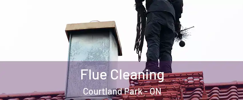  Flue Cleaning Courtland Park - ON