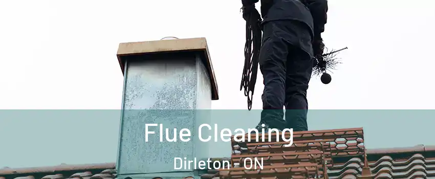  Flue Cleaning Dirleton - ON