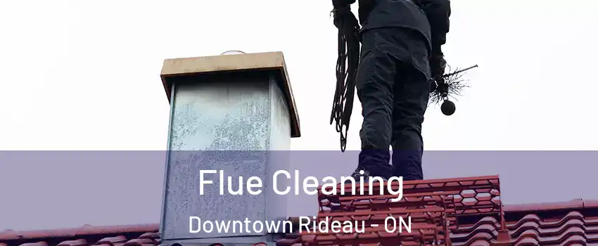  Flue Cleaning Downtown Rideau - ON