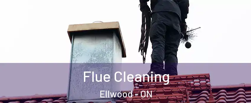  Flue Cleaning Ellwood - ON