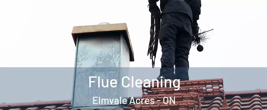  Flue Cleaning Elmvale Acres - ON