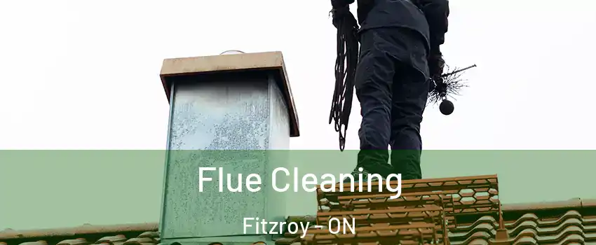  Flue Cleaning Fitzroy - ON