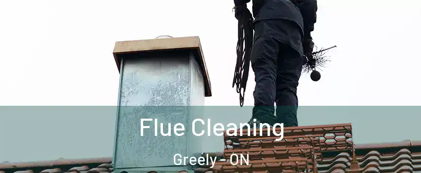  Flue Cleaning Greely - ON