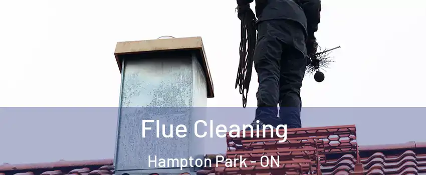  Flue Cleaning Hampton Park - ON