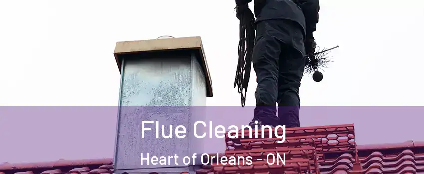Flue Cleaning Heart of Orleans - ON