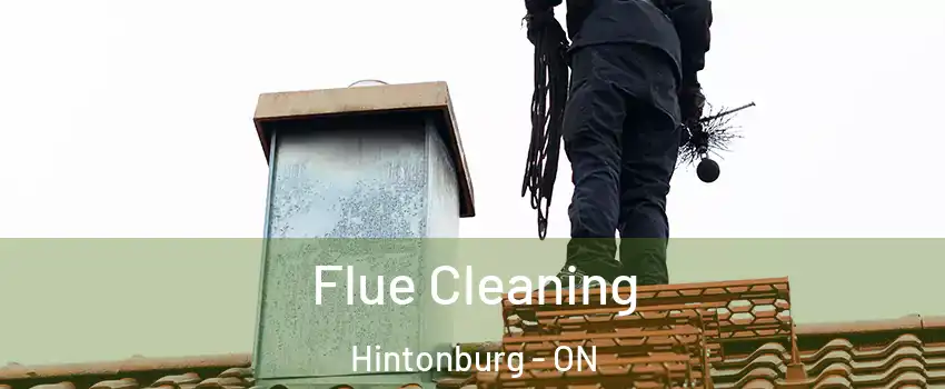  Flue Cleaning Hintonburg - ON