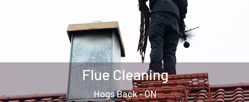  Flue Cleaning Hogs Back - ON