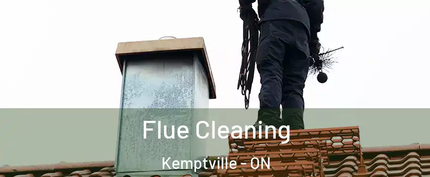  Flue Cleaning Kemptville - ON