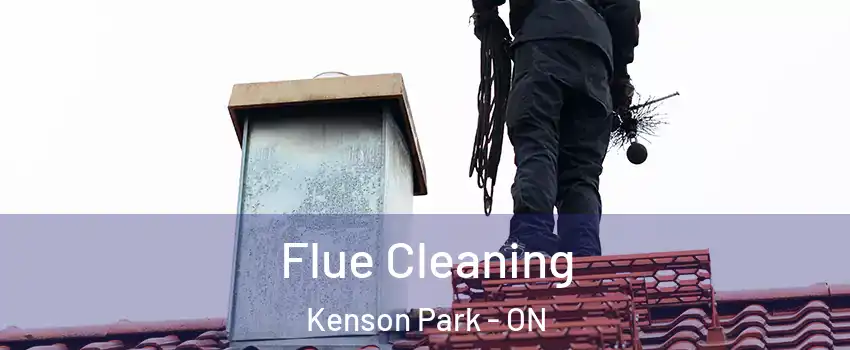  Flue Cleaning Kenson Park - ON