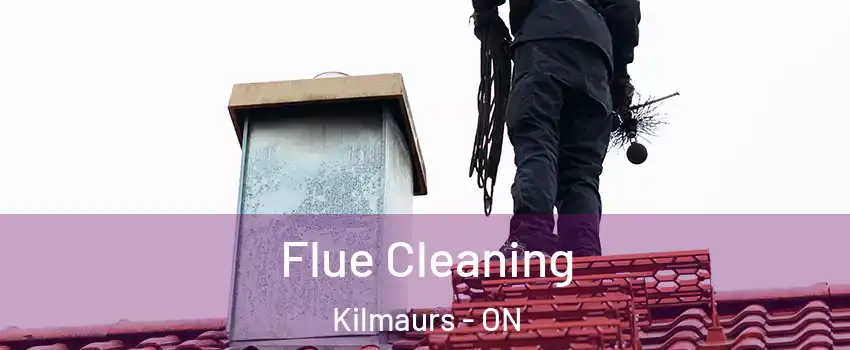  Flue Cleaning Kilmaurs - ON