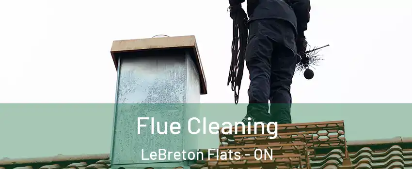  Flue Cleaning LeBreton Flats - ON