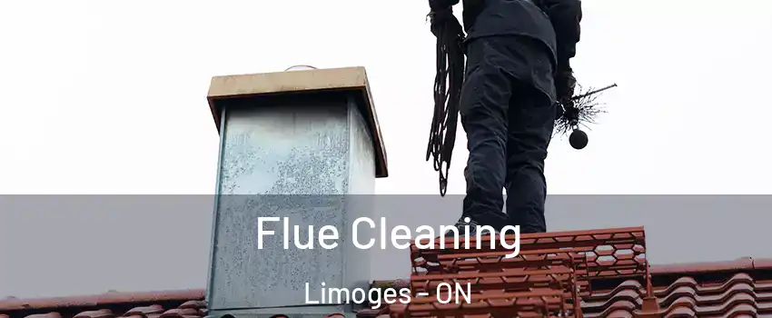  Flue Cleaning Limoges - ON