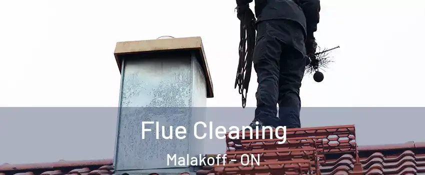  Flue Cleaning Malakoff - ON