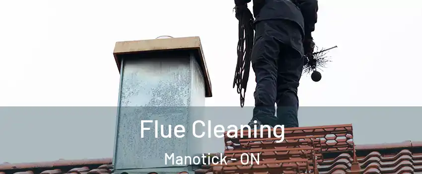  Flue Cleaning Manotick - ON