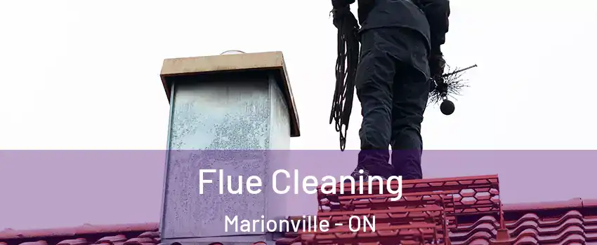  Flue Cleaning Marionville - ON