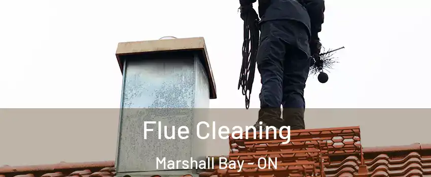  Flue Cleaning Marshall Bay - ON