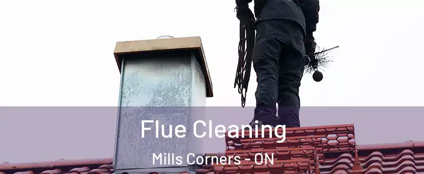  Flue Cleaning Mills Corners - ON