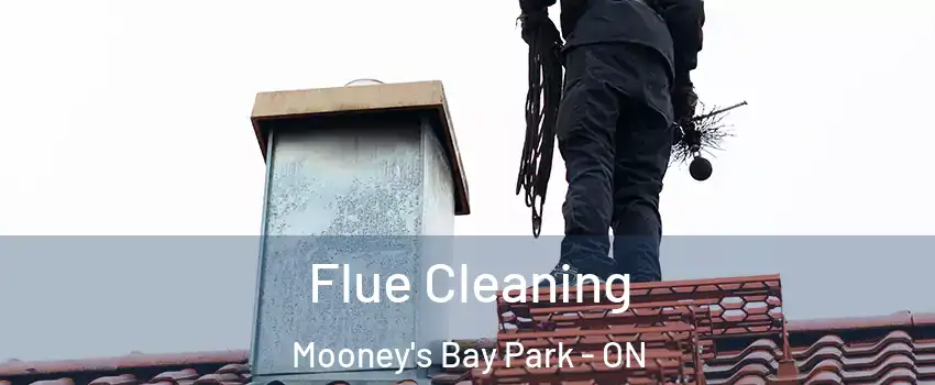  Flue Cleaning Mooney's Bay Park - ON