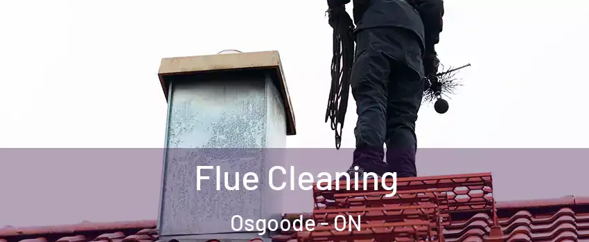  Flue Cleaning Osgoode - ON