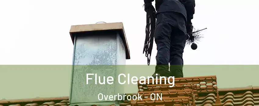  Flue Cleaning Overbrook - ON