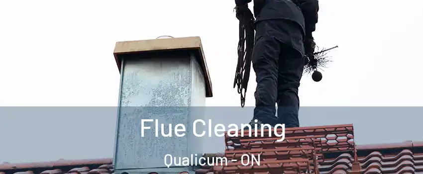  Flue Cleaning Qualicum - ON