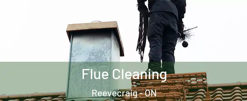  Flue Cleaning Reevecraig - ON